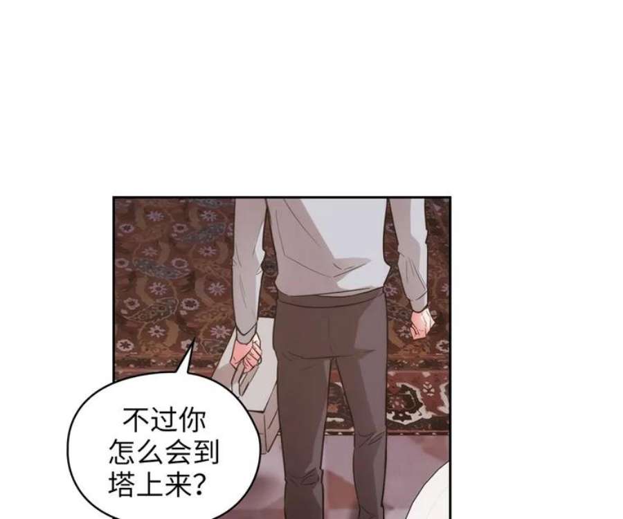 阿多尼斯152.竞拍开始