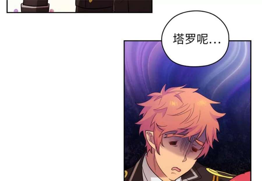 阿多尼斯152.竞拍开始