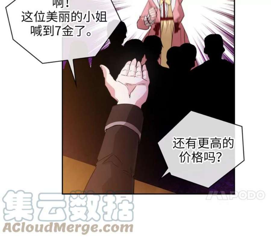 阿多尼斯152.竞拍开始