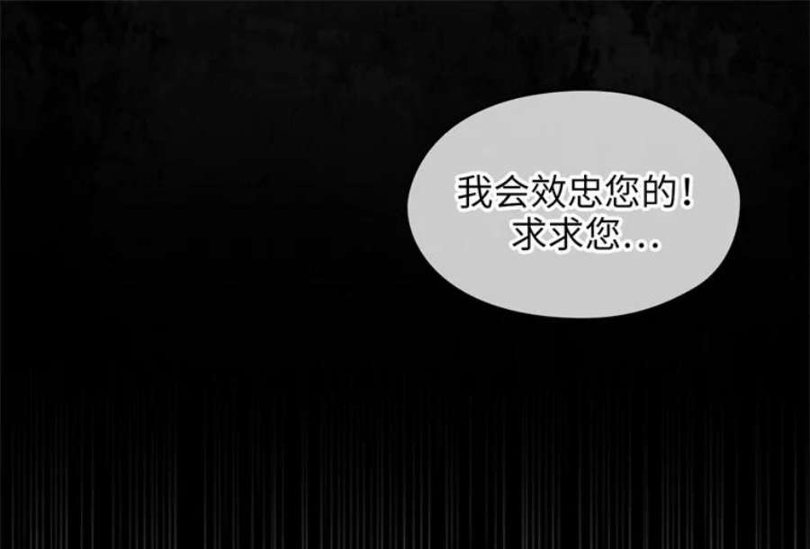 阿多尼斯152.竞拍开始