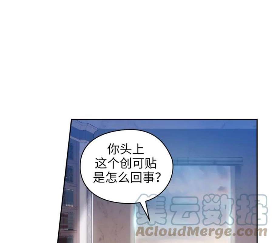 阿多尼斯152.竞拍开始