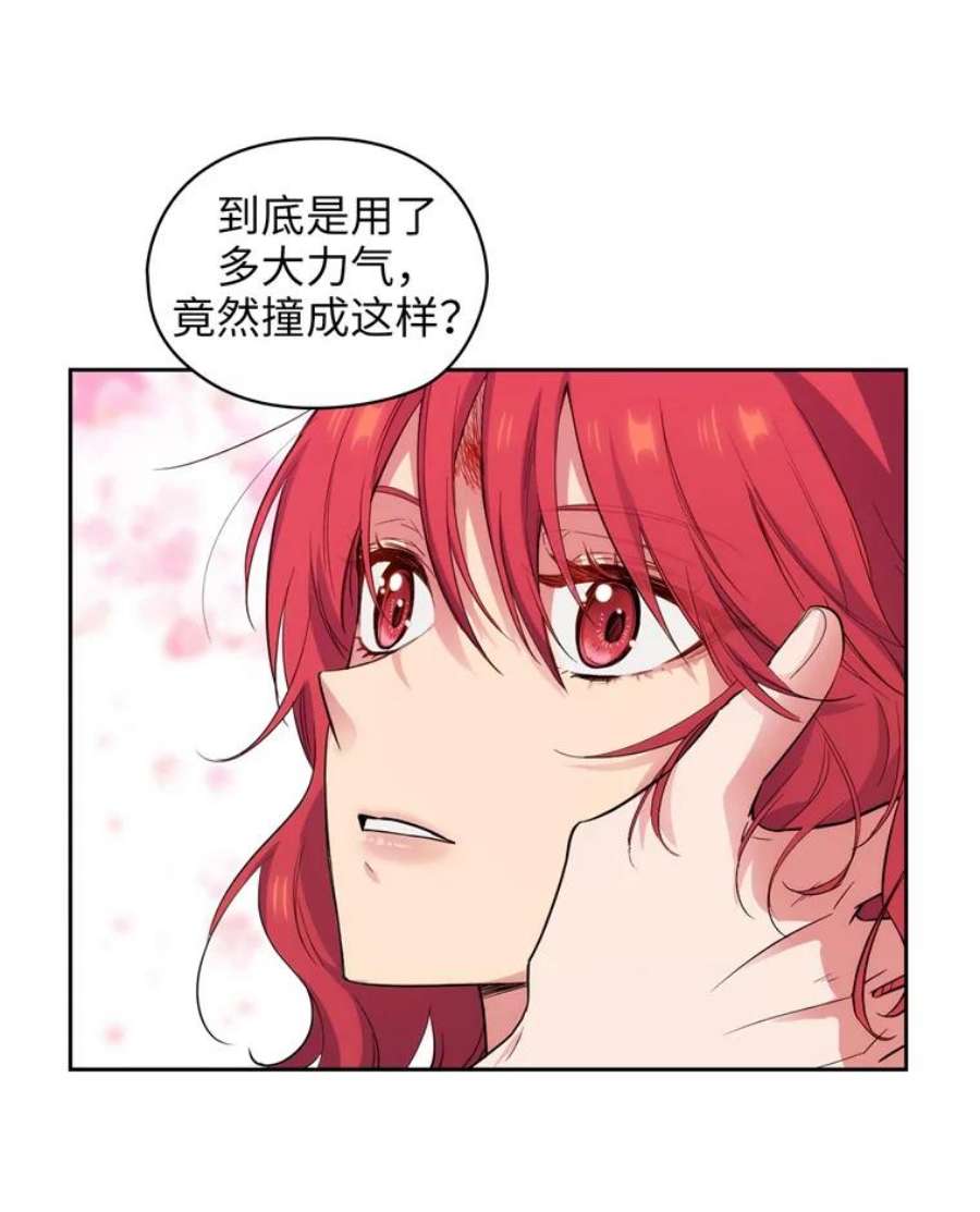 阿多尼斯152.竞拍开始