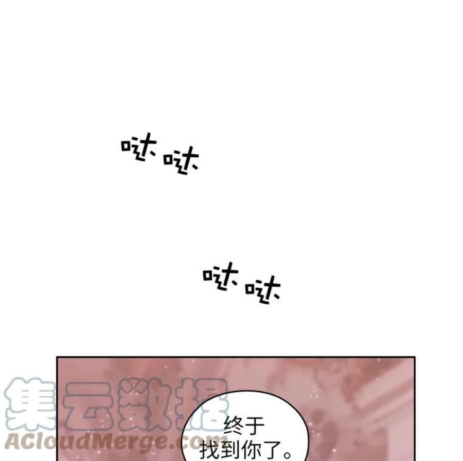 阿多尼斯171.火花玫瑰