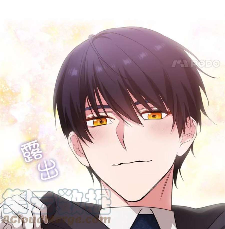 阿多尼斯171.火花玫瑰