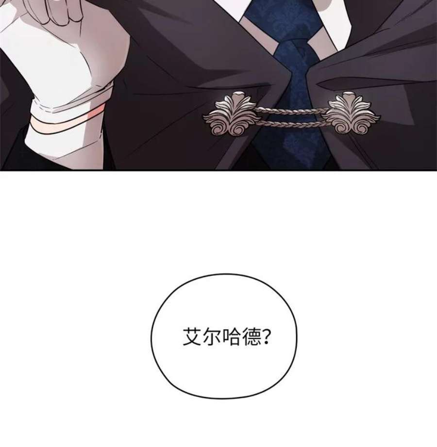 阿多尼斯171.火花玫瑰