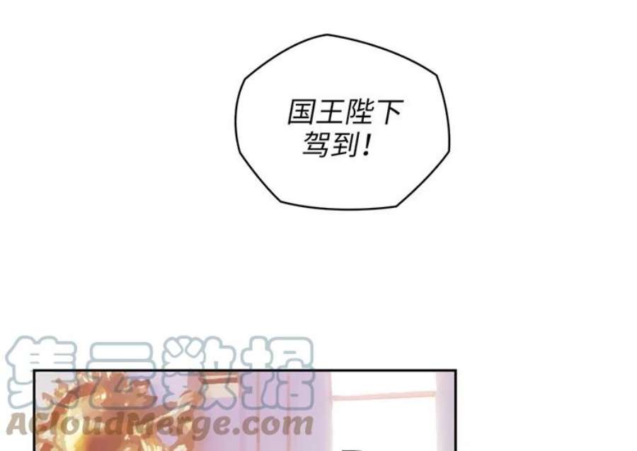 阿多尼斯171.火花玫瑰