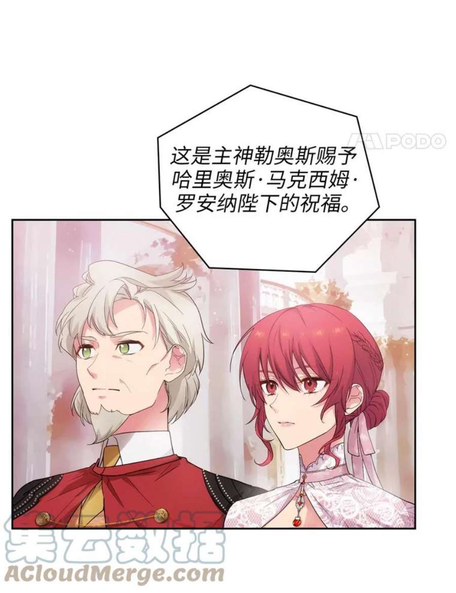 阿多尼斯171.火花玫瑰