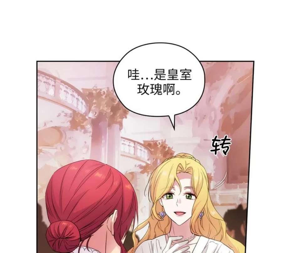 阿多尼斯174.王子的执着