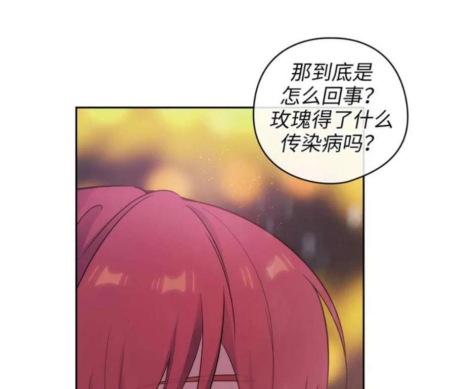 阿多尼斯177.玫瑰盛宴