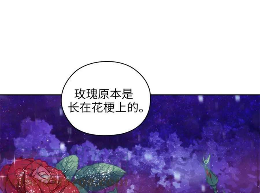 阿多尼斯177.玫瑰盛宴