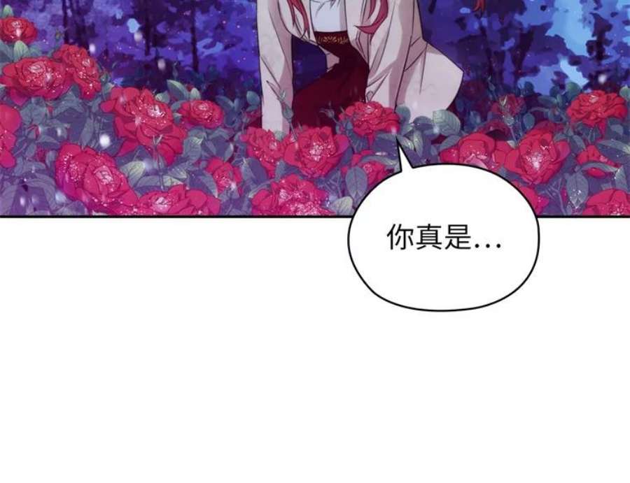 阿多尼斯177.玫瑰盛宴