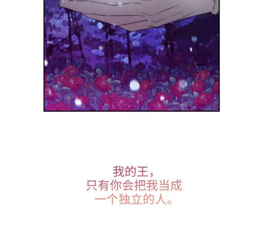阿多尼斯177.玫瑰盛宴