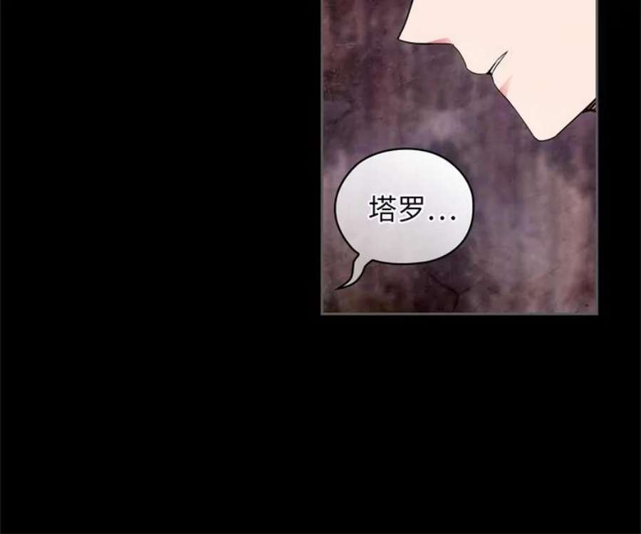 阿多尼斯178.传世之吻
