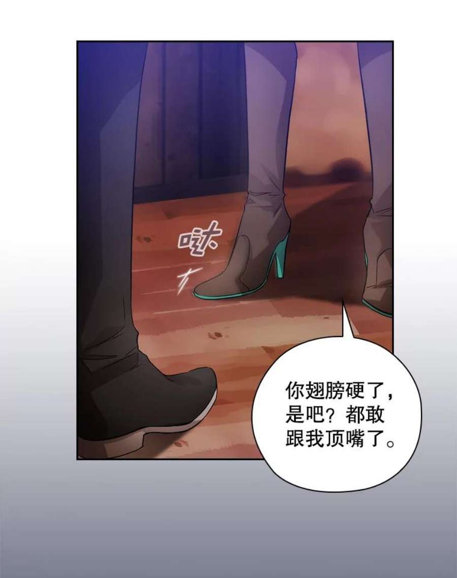 阿多尼斯186.炸弹