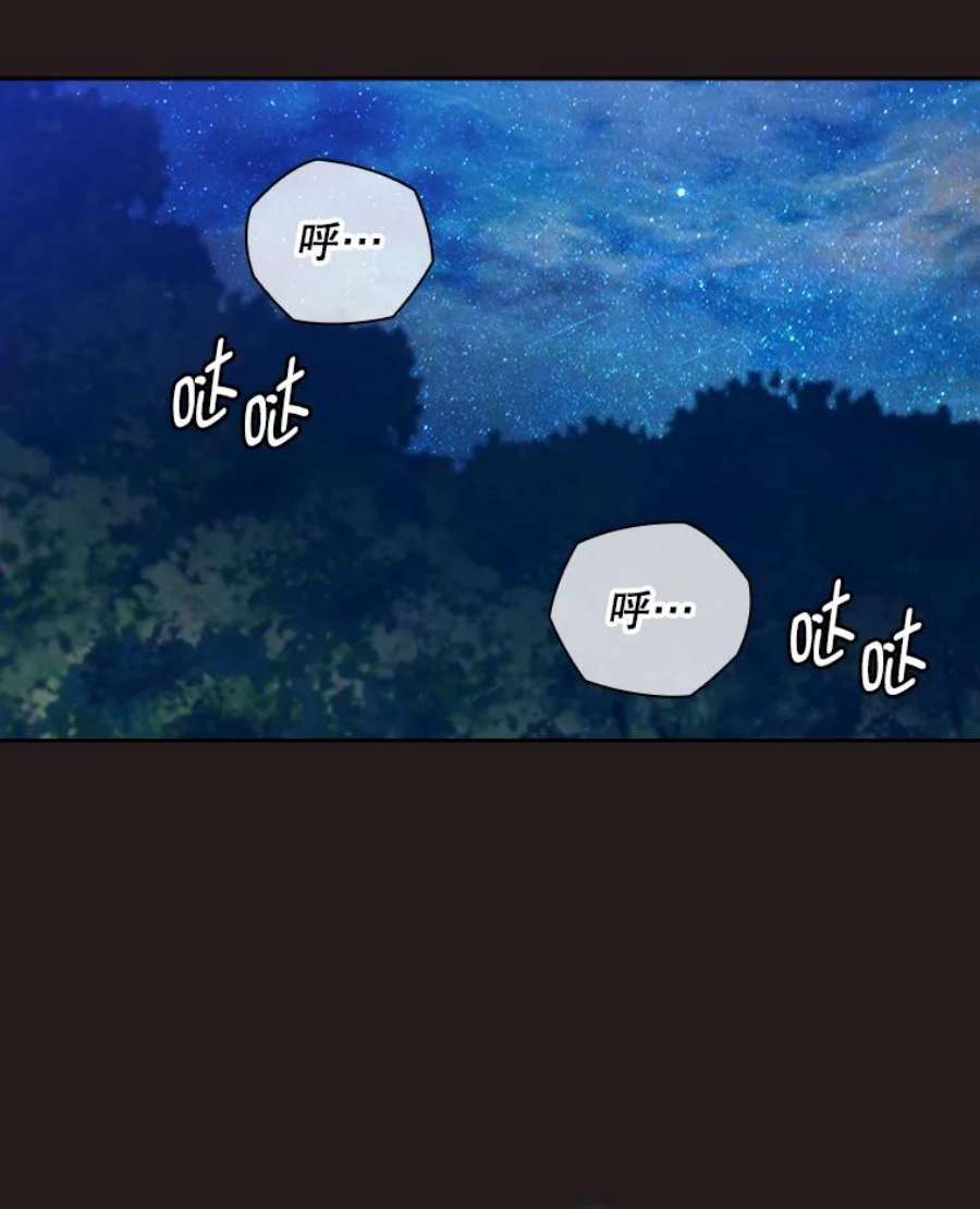 阿多尼斯189.对战