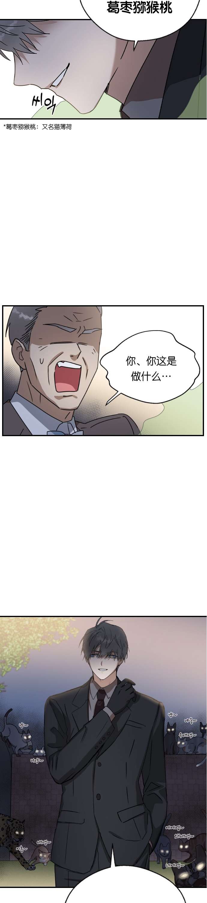 前世姻缘第19话