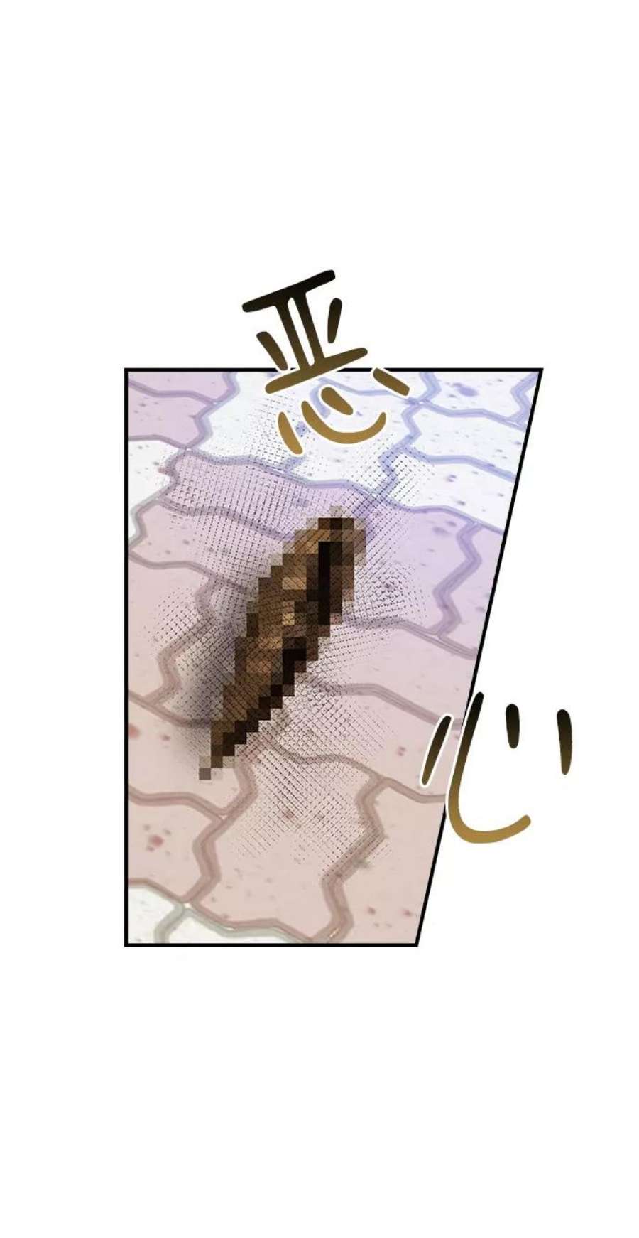 前世姻缘10话