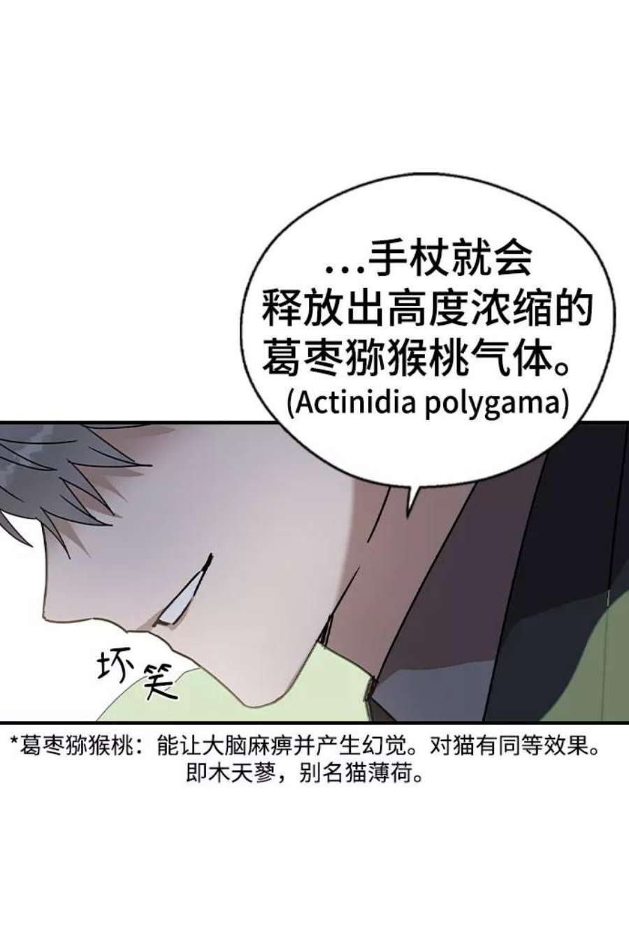 前世姻缘19话
