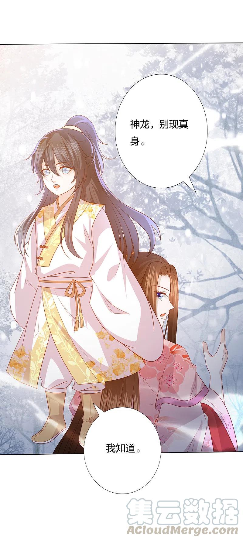 凤凰错:专宠弃妃216话 团灭，前往雪族