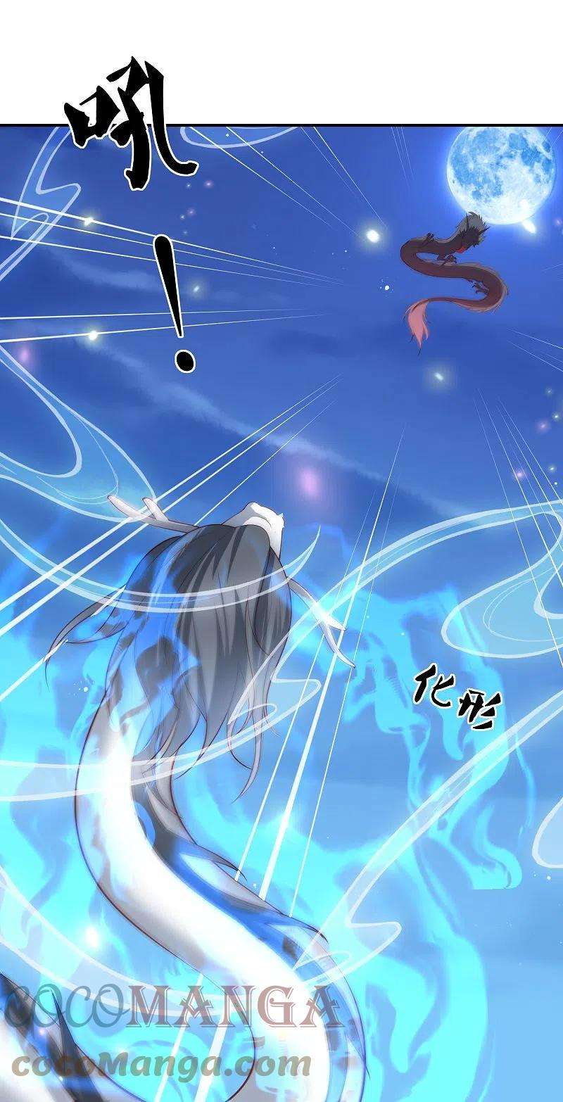 凤凰错:专宠弃妃247话 群龙大会