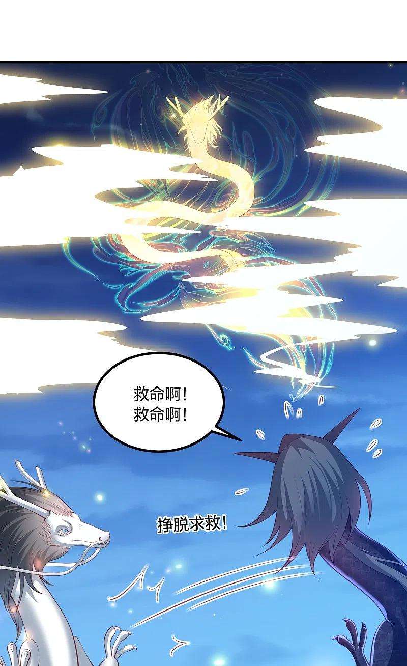 凤凰错:专宠弃妃247话 群龙大会