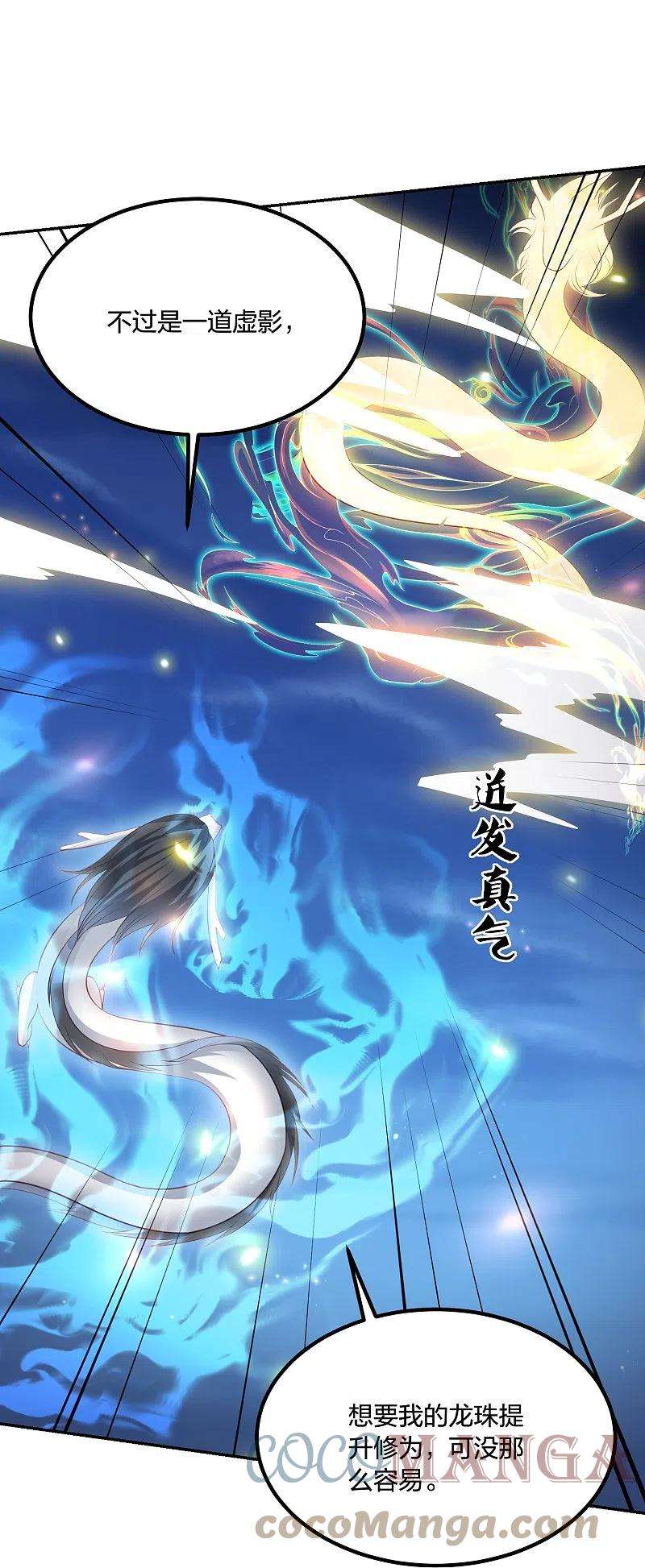 凤凰错:专宠弃妃247话 群龙大会