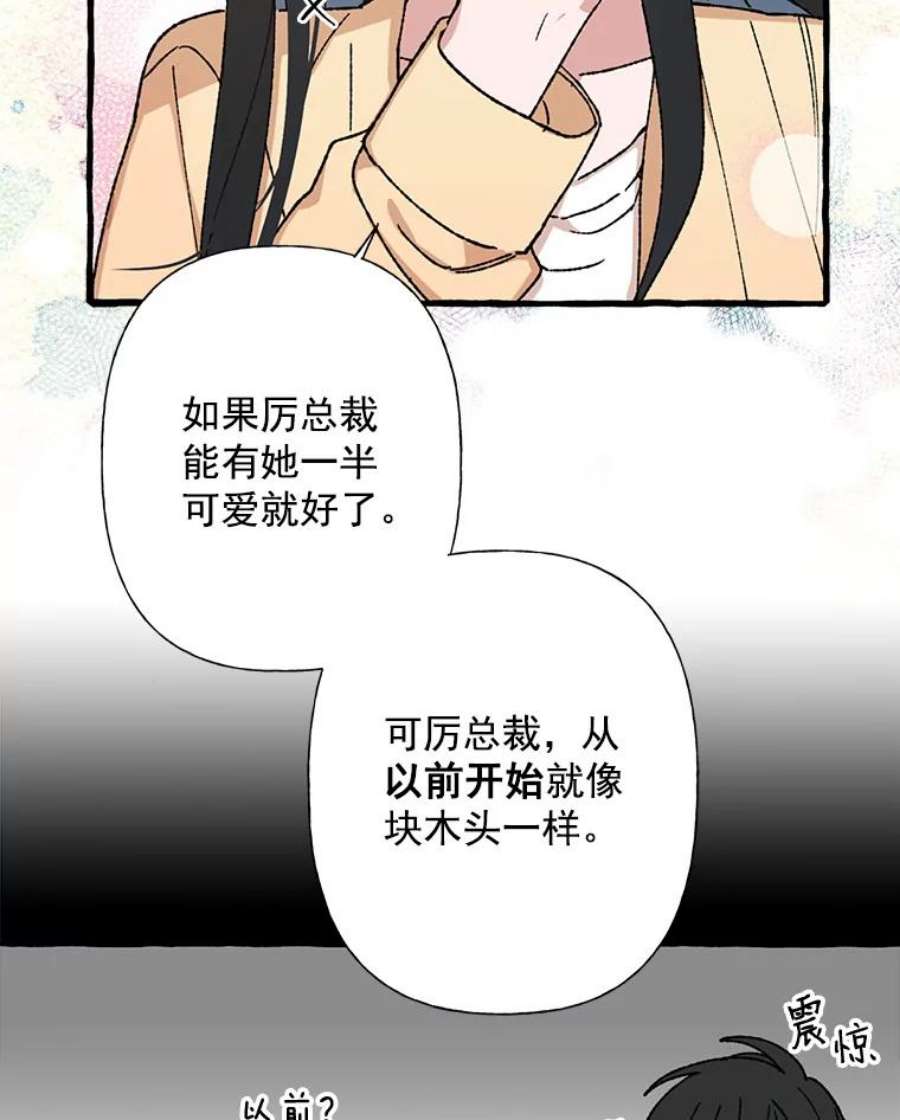 攻略毒舌上司22.见到夏梓伊本人