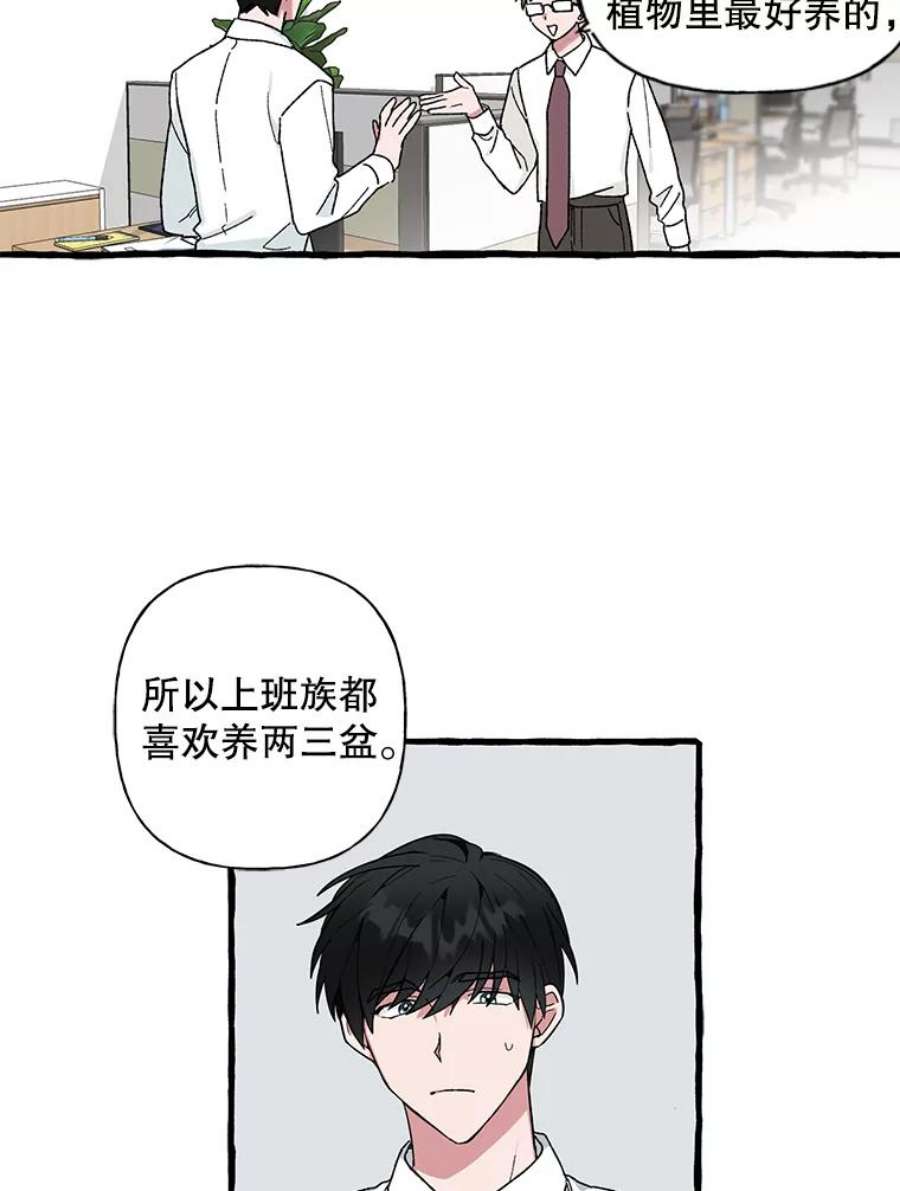 攻略毒舌上司45.不被看好