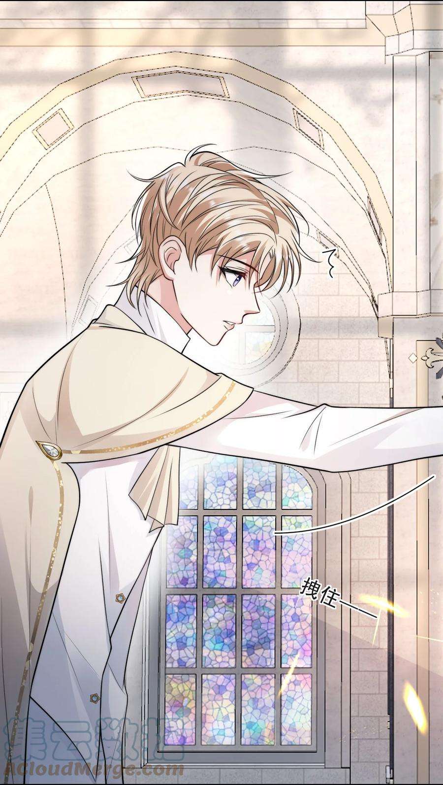 反派洗白大法006 大婚