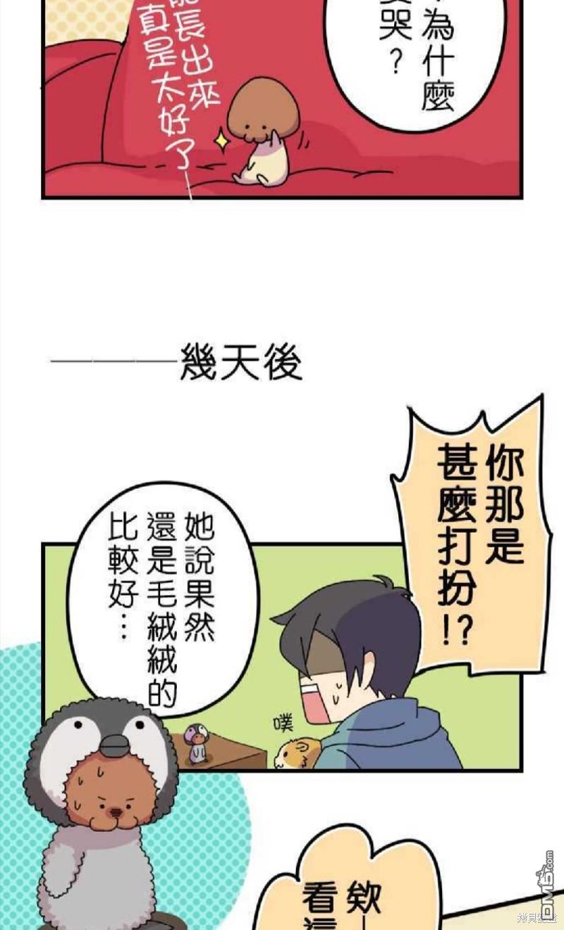 香菇君，你在做什么?第4话