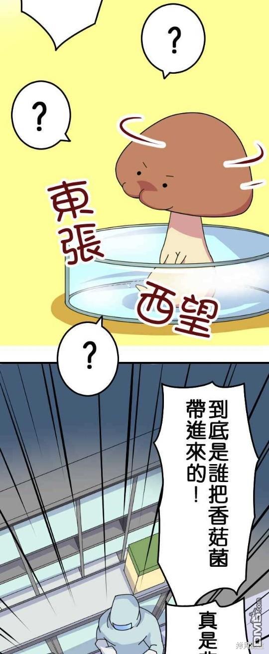 香菇君，你在做什么?第14话