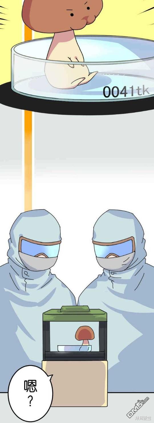 香菇君，你在做什么?第14话