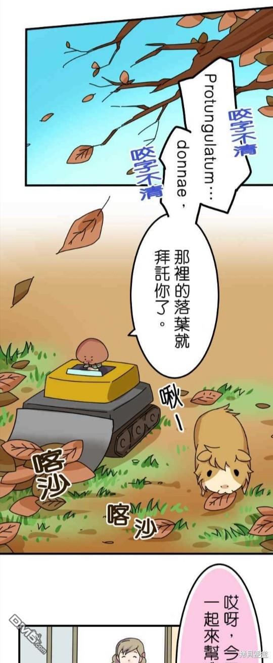 香菇君，你在做什么?第26话