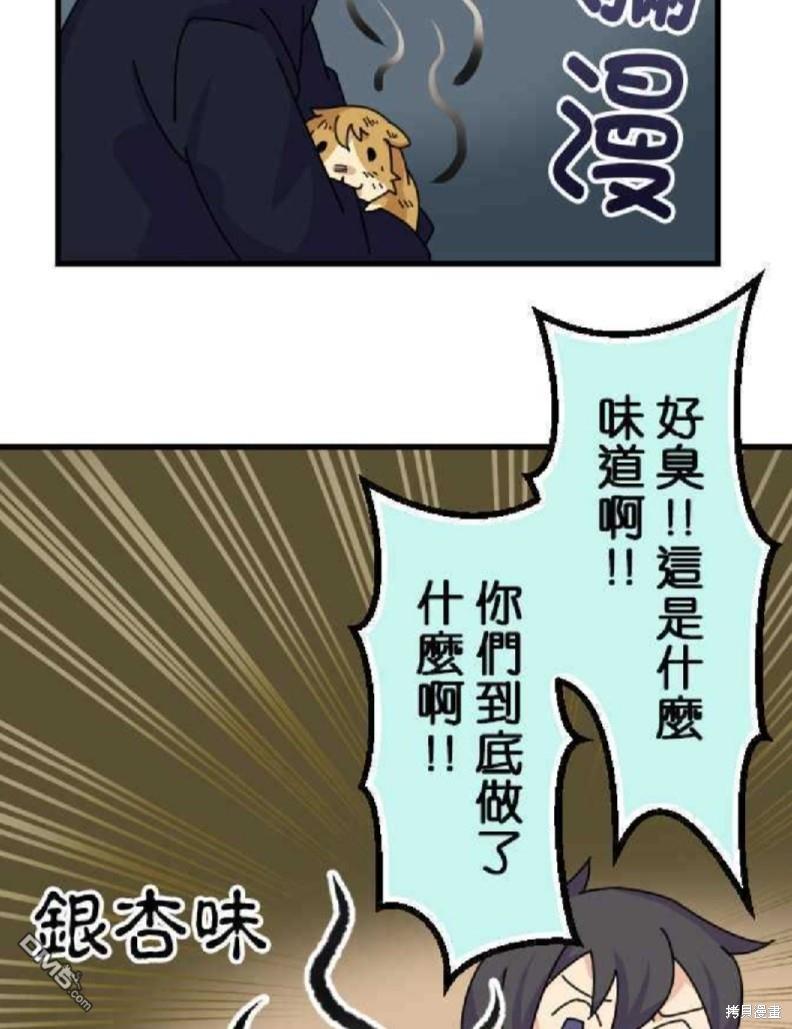 香菇君，你在做什么?第26话