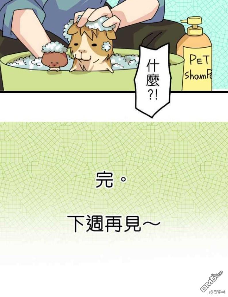 香菇君，你在做什么?第26话