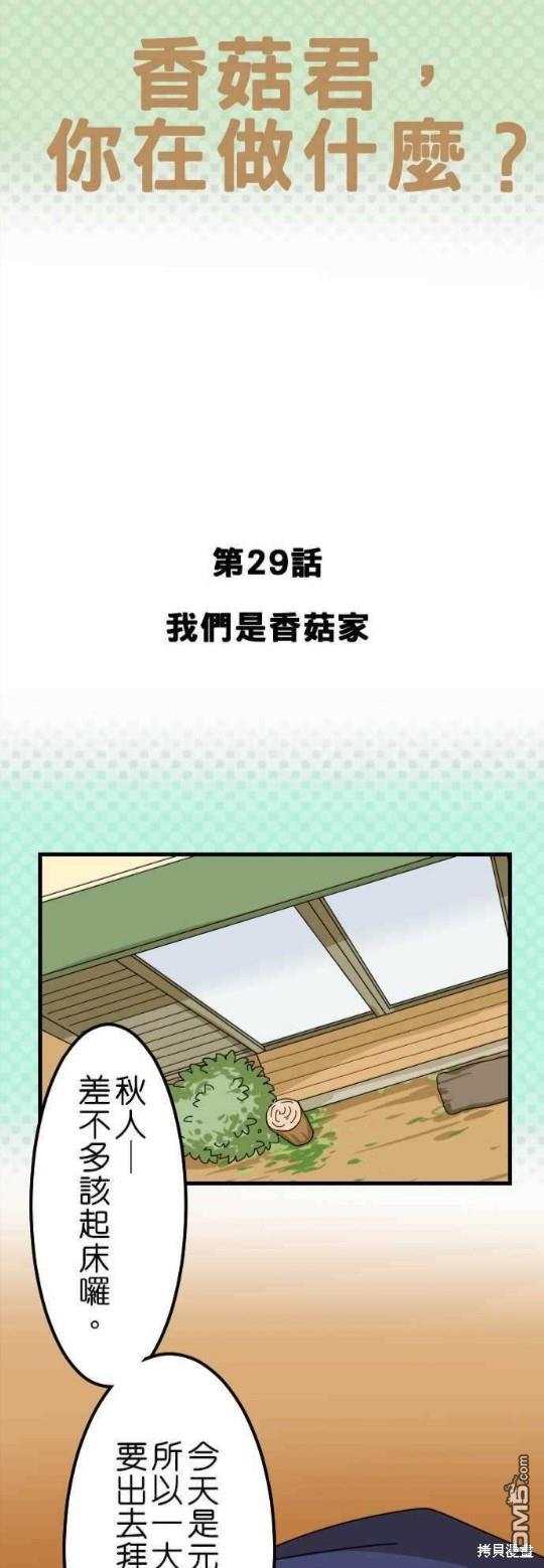 香菇君，你在做什么?第29话