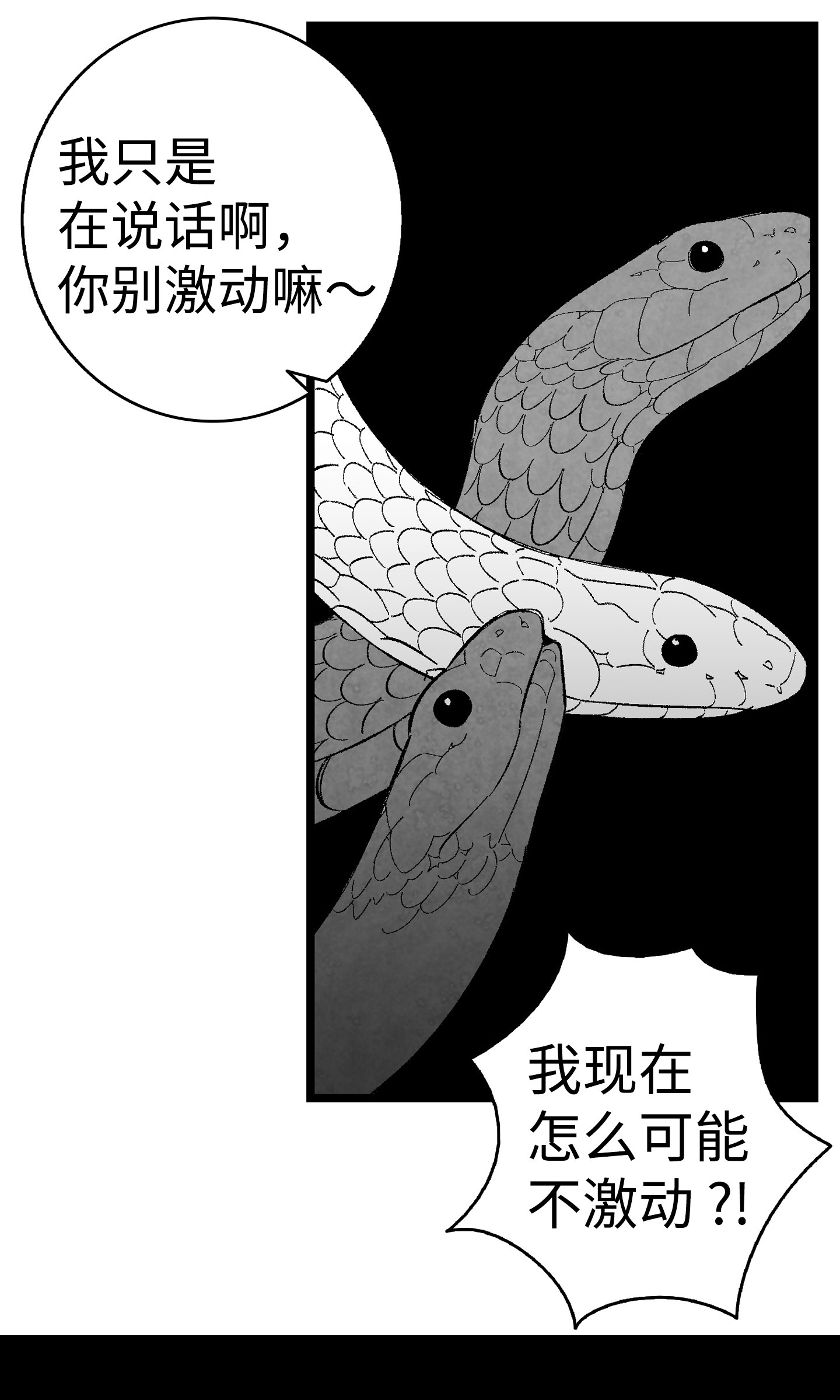 骷髅奶爸05 蝴蝶2