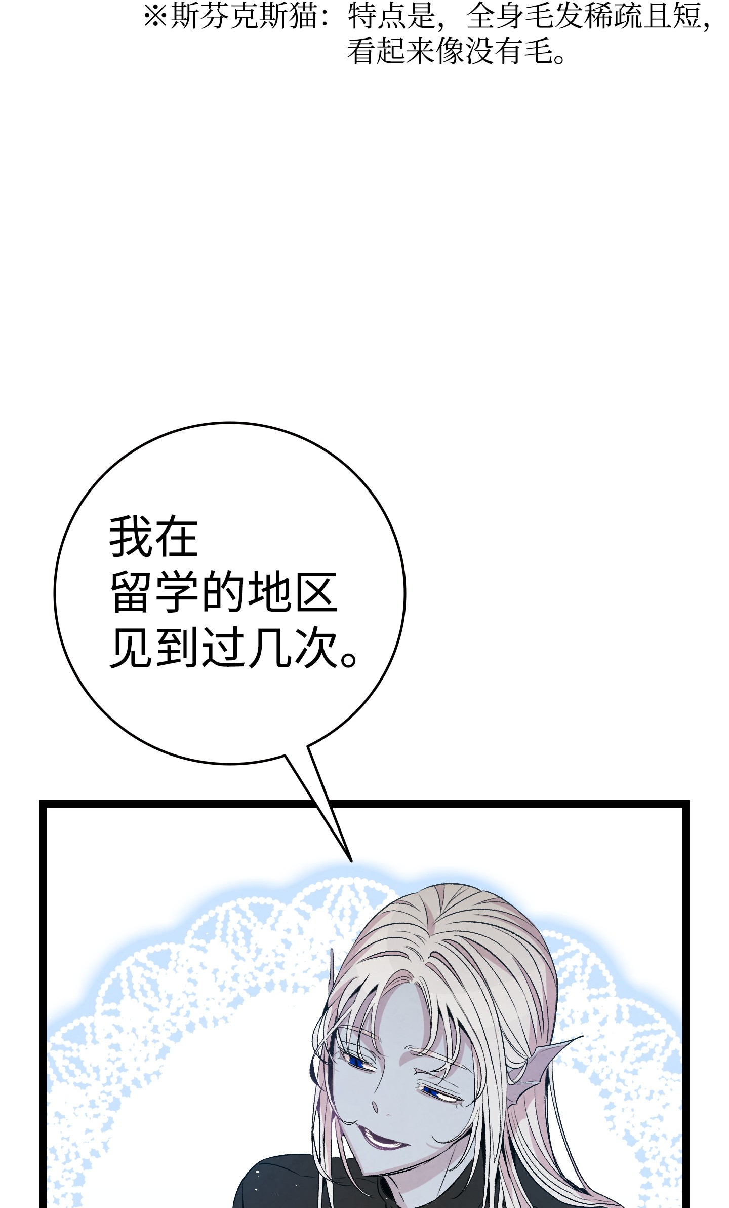 骷髅奶爸69 往事