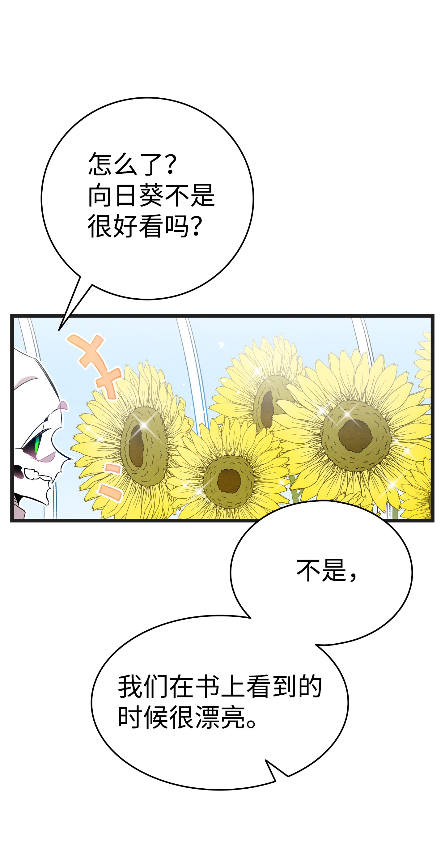骷髅奶爸91 逛花园