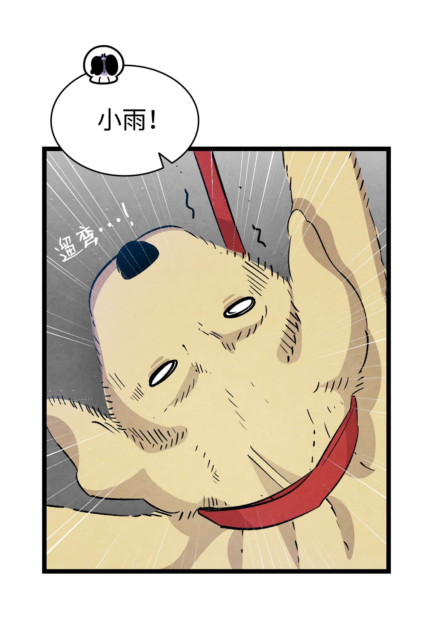 骷髅奶爸116 遛狗