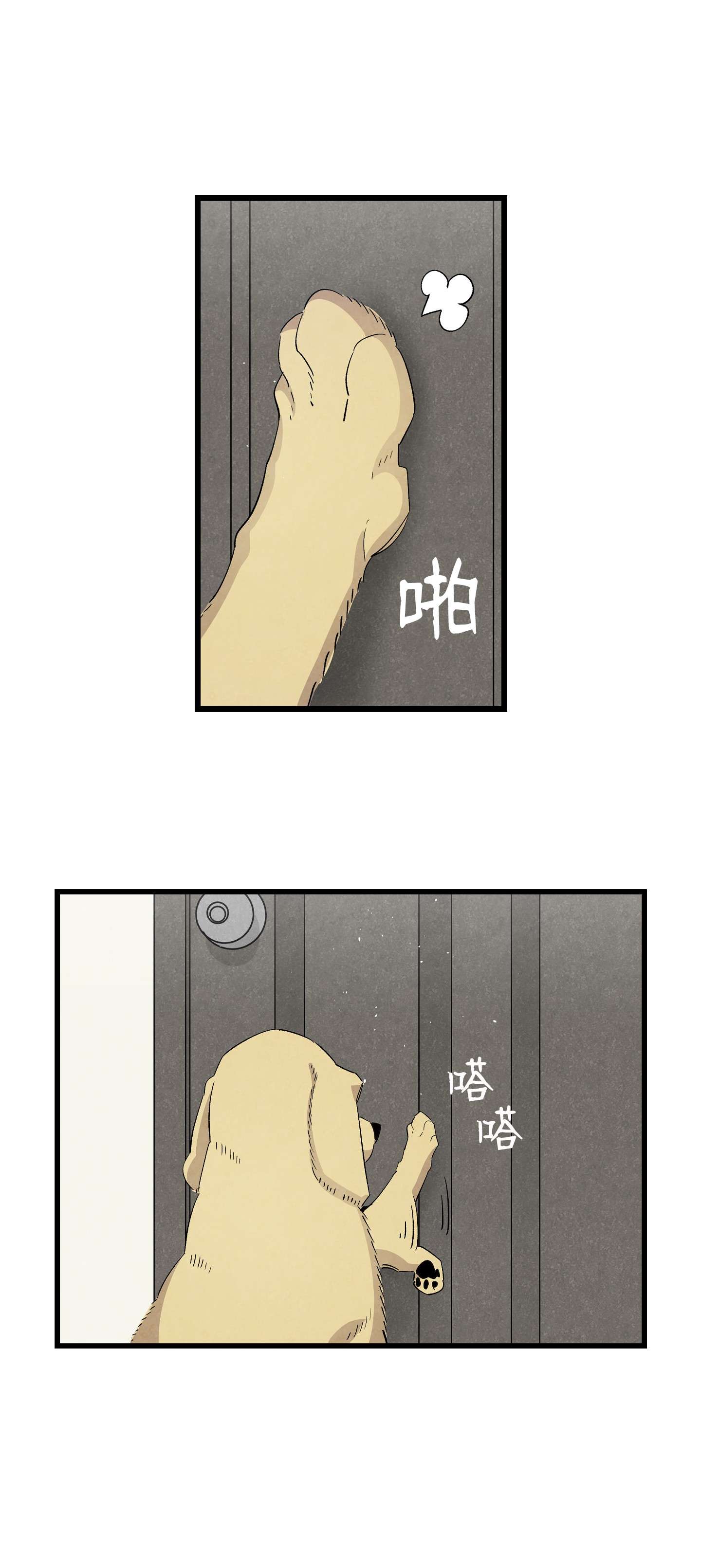 骷髅奶爸116 遛狗