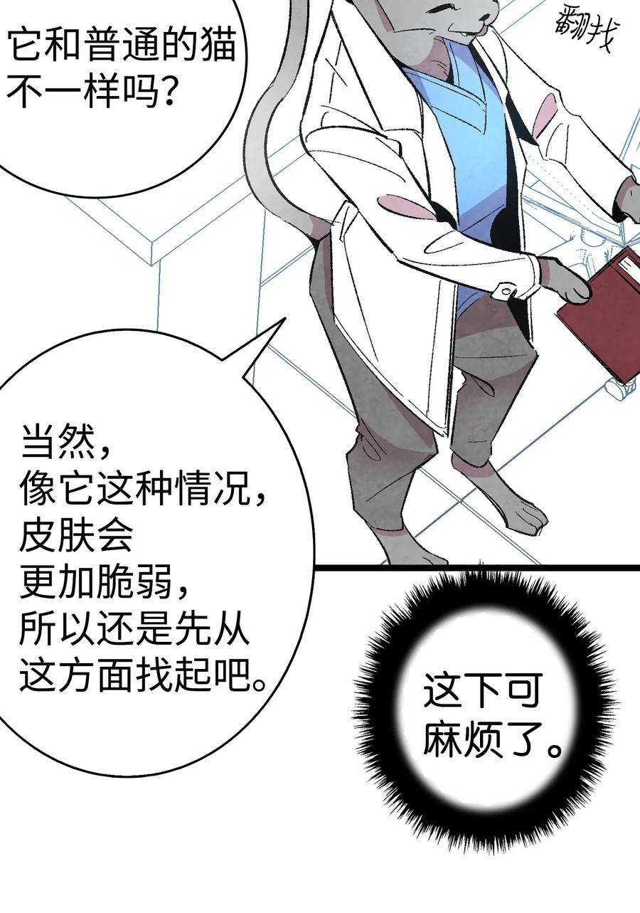 骷髅奶爸06 蝴蝶3
