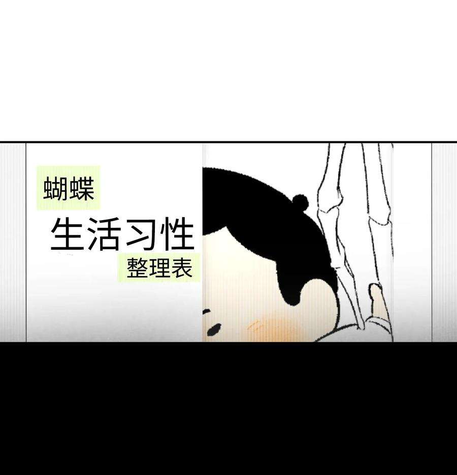骷髅奶爸16 无毛猪