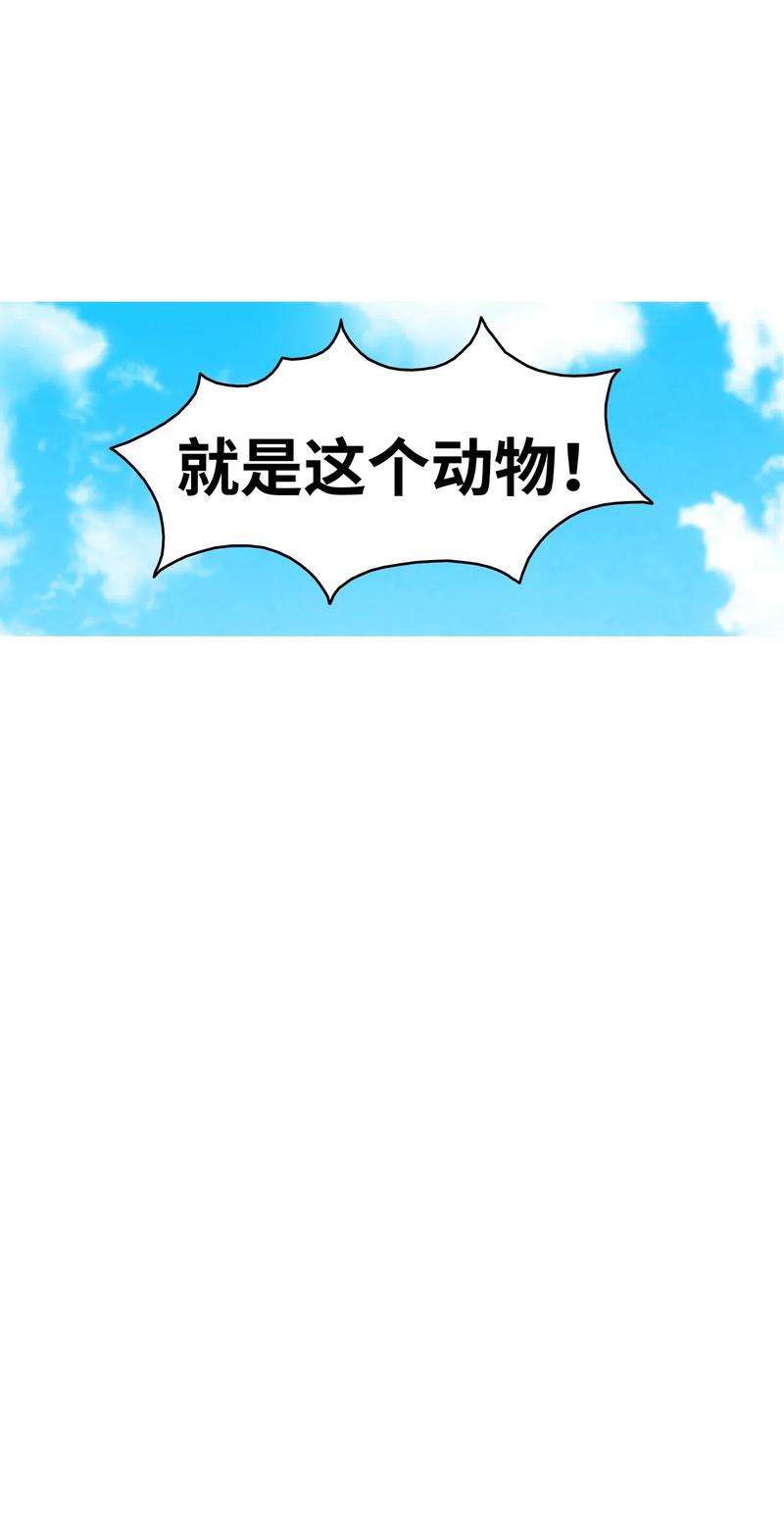 骷髅奶爸34 就是这个动物