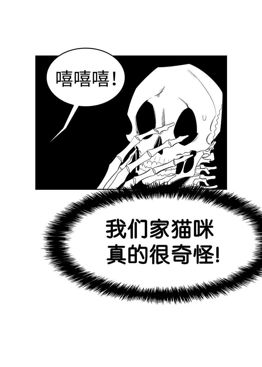 骷髅奶爸40 生活琐事