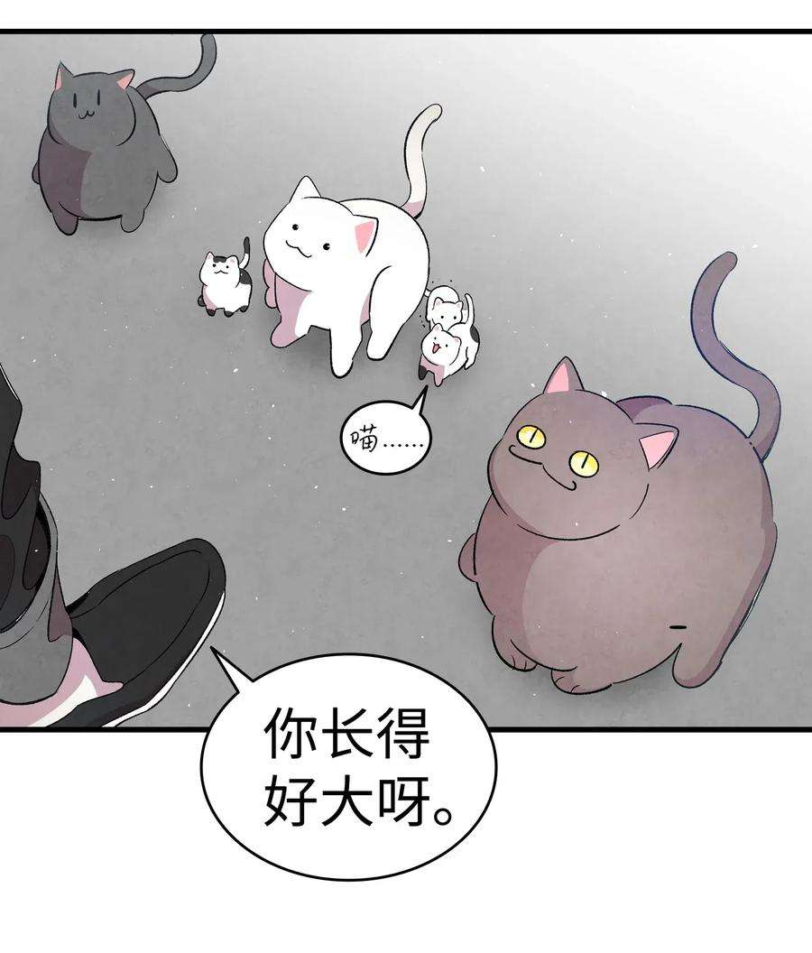 骷髅奶爸65 被盯上了