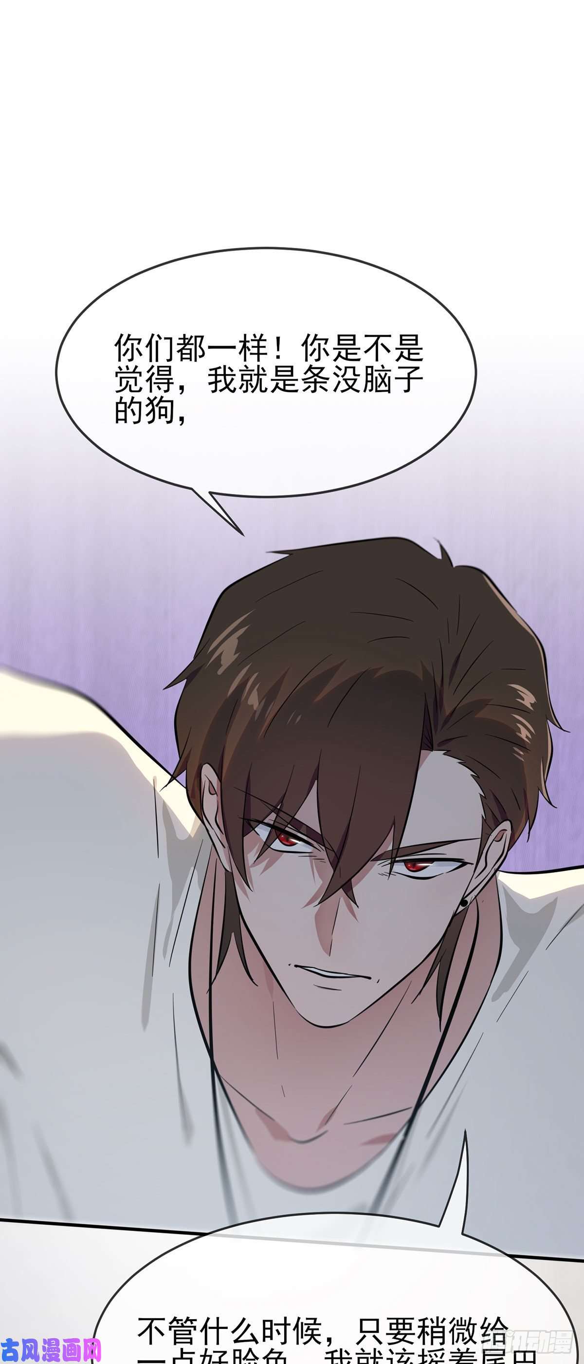 我告老师！！第15话：哪一种狗不会被欺负？