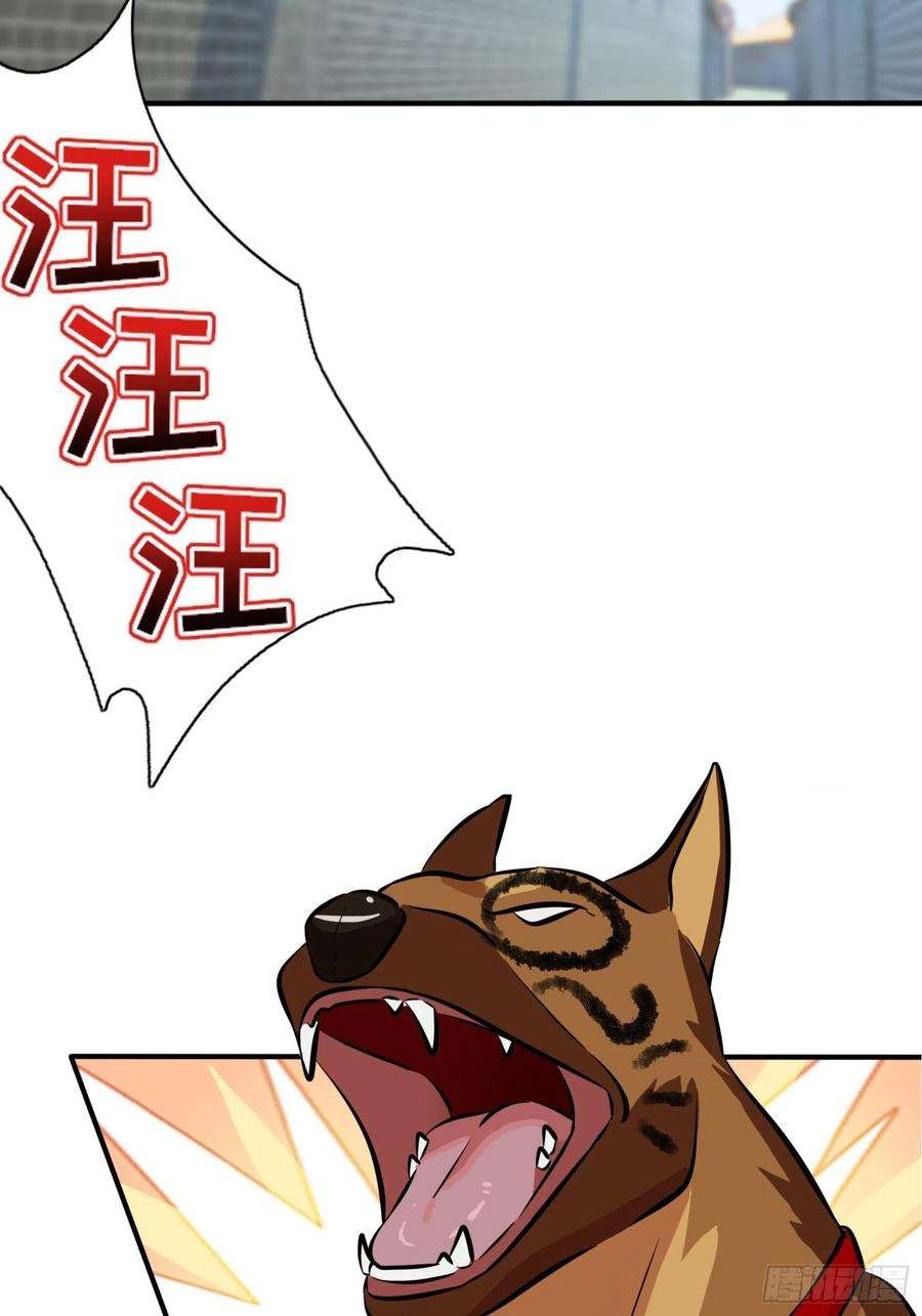 我告老师！！43话：那天放狗追我的是你！