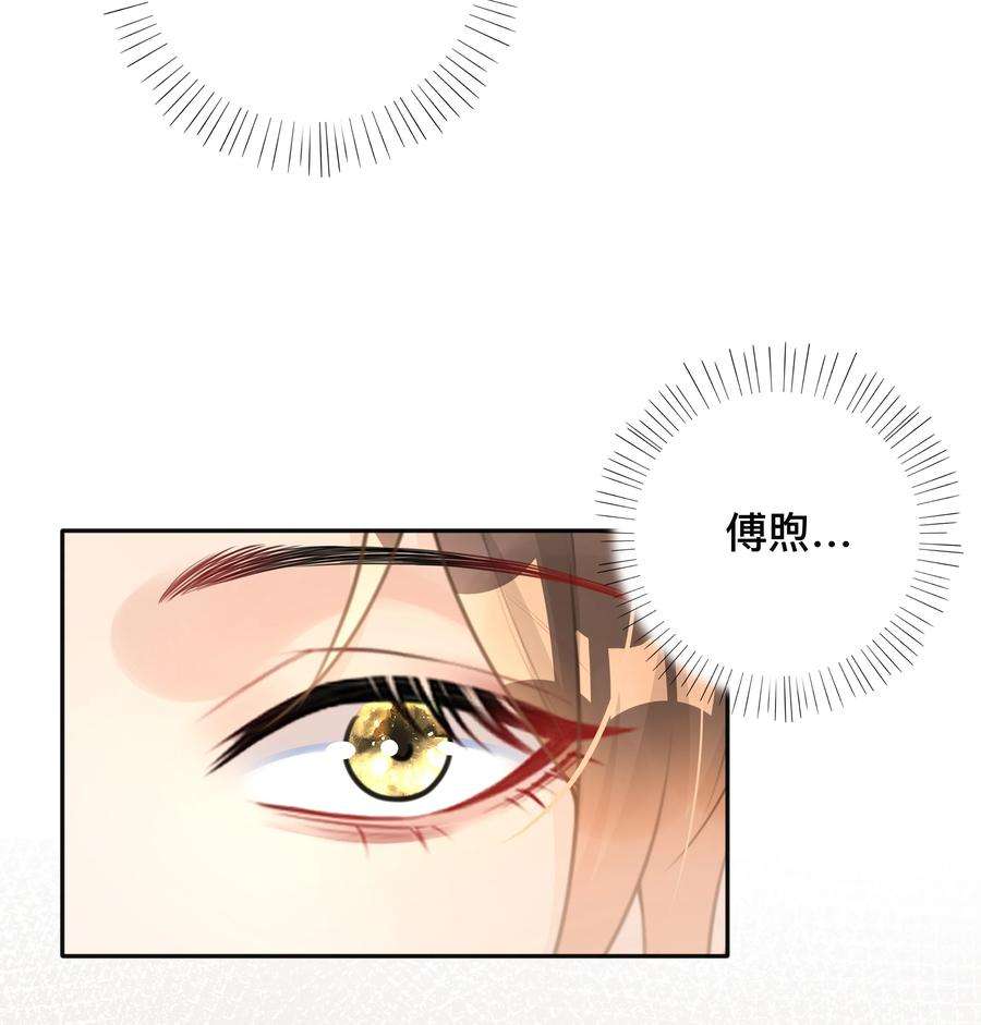 窥光007 飞蛾扑火