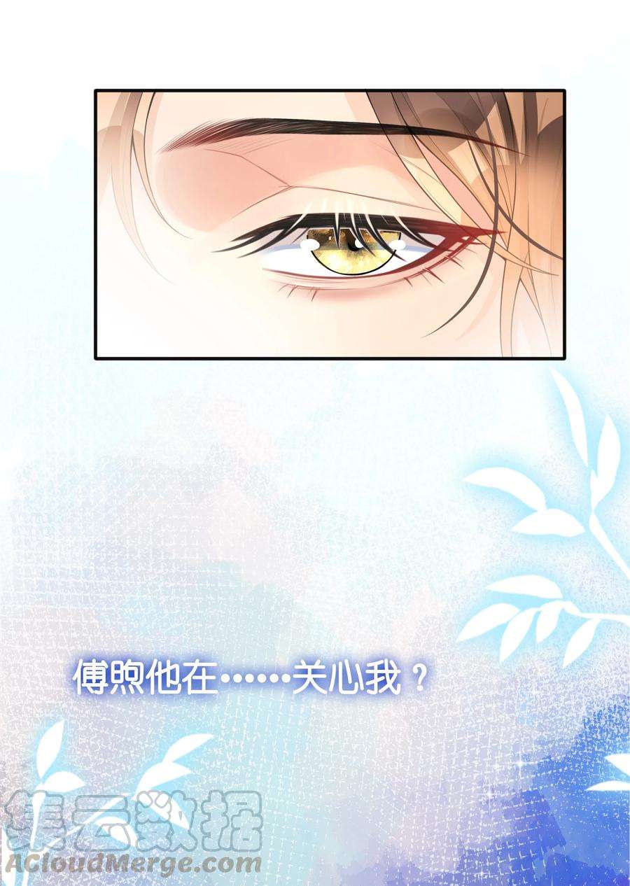 窥光007 飞蛾扑火